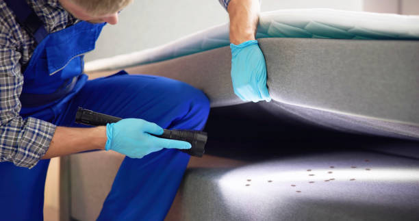 Best Ant Control Services  in Olympia Heights, FL